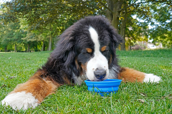 fortes-chaleurs-:-quelles-precautions-les-professionnels-doivent-ils-prendre-?