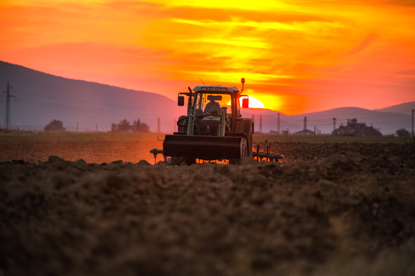secteur-agricole-et-crise-ukrainienne-:-il-est-temps-de-faire-sa-demande-d’aide
