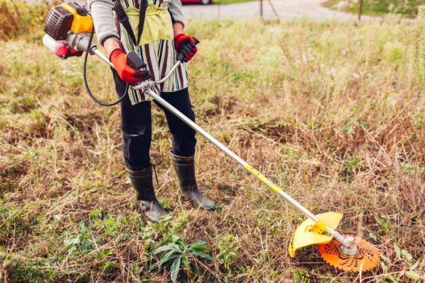 incendies-de-foret-:-plus-d’informations-pour-une-meilleure-prevention-!