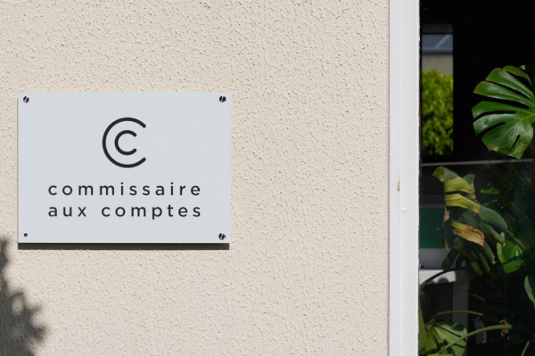 commissaires-aux-comptes-:-homologation-de-onze-normes-d’exercice-professionnel-revisees
