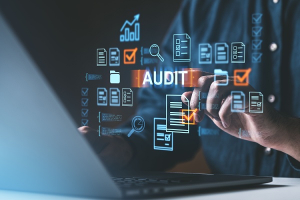 commissaires-aux-comptes-:-publication-de-2-normes-d’exercice-professionnel-« oubliees »