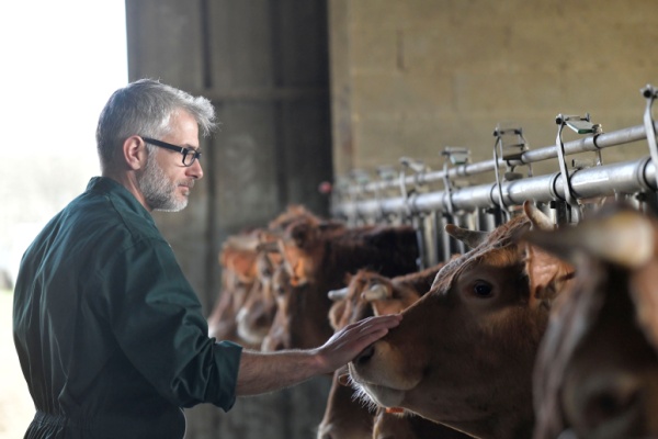 mhe :-un-delai-supplementaire-pour-demander-ses-aides