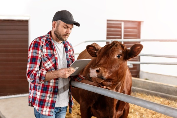 agriculture :-point-sur-la-situation