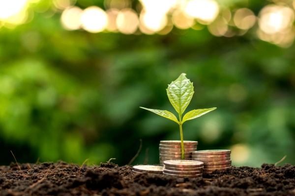 prise-en-charge-des-cotisations-sociales-par-la-msa :-assouplissement-de-la-procedure