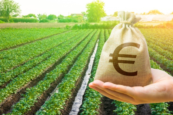 taxe-fonciere-sur-les-terres-agricoles-:-une-exoneration-deja-en-hausse-?