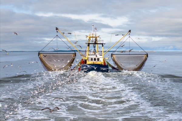 declaration-des-activites-de-peche-:-passage-a-la-declaration-electronique-?