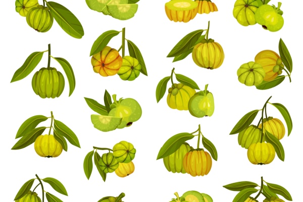 garcinia-cambogia-:-une-interdiction-temporaire-toujours-d’actualite-?