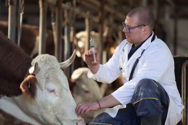 agriculture-:-le-point-sur-les-epidemies