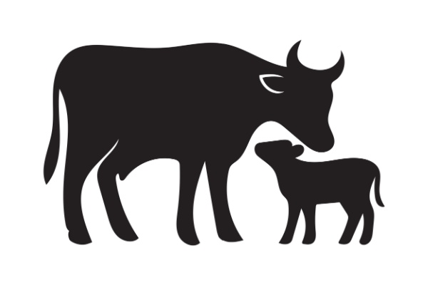 secteur-agricole-:-le-point-sur-les-aides-en-juin-2026