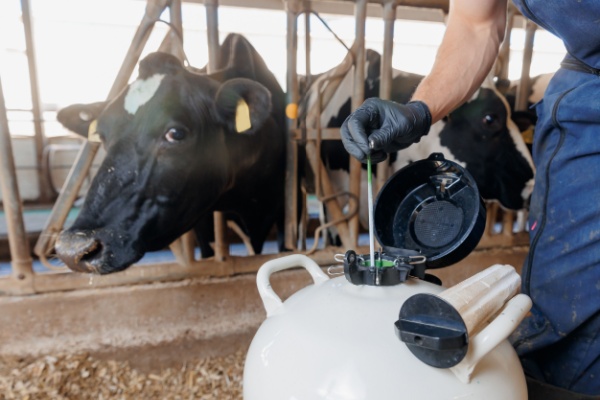 insemination-artificielle-:-harmonisation-des-demarches